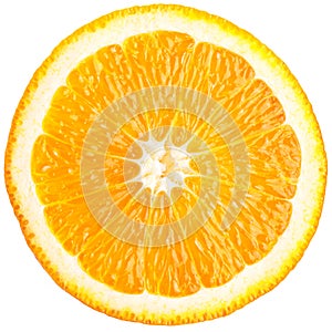 Orange slice (half) on a white.