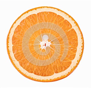 Orange slice isolated on white background without shadow