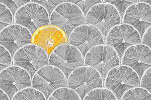 Orange Slice Stand Out Of Yellow Lemon Slices photo