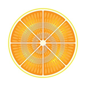 orange slice. Vector illustration decorative design