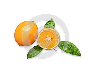 Orange sliced and whole citrus fruit isolated on white background. Juicy ripe slices of orange lemon.
