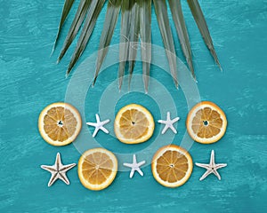 Orange slices, palm leaf and seafish