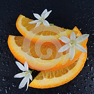 Orange slices with water drops and flowers on a black background