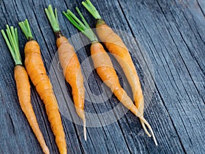 Orange small young carrots on rustic weathered wooden table