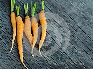 Orange small young carrots on rustic weathered wooden table