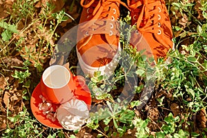 Orange sneakers on green grass, legs shod in sneakers, summer picnic, cup and saucer and marshmallow, horizontal image