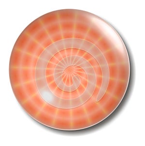 Orange Spider Web Button Orb photo