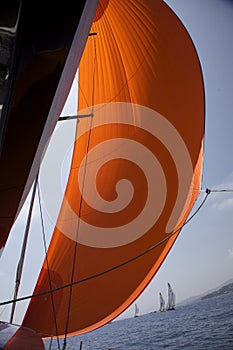 Orange spinnaker in the wind