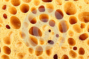 Orange sponge with big holes
