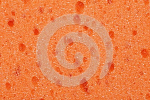 Texture of orange sponge background
