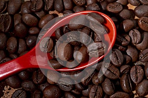 Orange spoon, coffee grounds and beans on wooden board