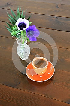 Orange spotty mug and anemones