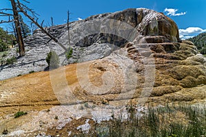 Orange Spring Mound