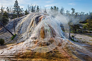 Orange Spring Mound in the Mammoth Hot Springs area, Yellowstone National Park, Wyoming