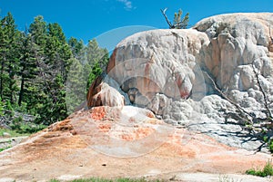 Orange Spring Mound at Mammoth Hot Springs closeup, Yellowstone National Park