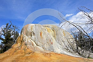 Orange Spring Mound, Mammoth Hot Springs, Yellowstone National Park, USA