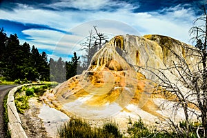 Orange Spring Mound, Mammoth Hot Springs, Yellowstone National Park, Wyoming, USA.