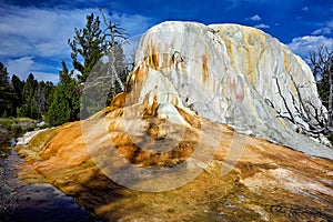 Orange Spring Mound at the Mammoth Hot Springs. Yellowstone National Park. Wyoming. USA.