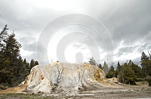 Orange Spring Mound in Yellowstone