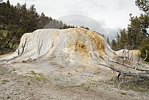 Orange Spring Mound in Yellowstone