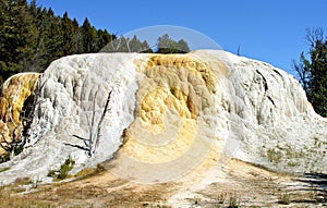 Orange Spring Mound, Yellowstone