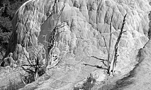 Orange Spring Mound, Yellowstone