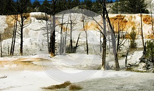 Orange Spring Mound, Yellowstone