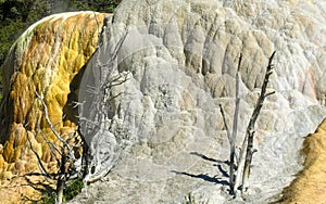 Orange Spring Mound, Yellowstone