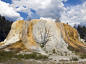 Orange Spring Mound Yellowstone