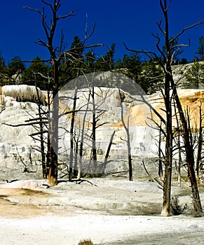 Orange Spring Mound, Yellowstone