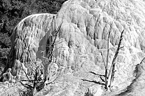 Orange Spring Mound, Yellowstone