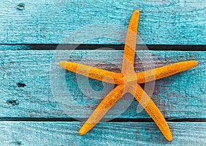 Orange starfish or sea star on blue wooden boards