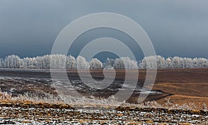 Orange steppe in the snow, hoarfrost.