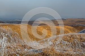 Orange steppe in the snow, hoarfrost.