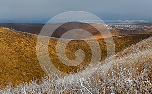 Orange steppe in the snow, hoarfrost.