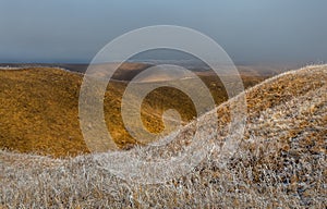 Orange steppe in the snow, hoarfrost.