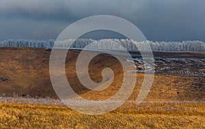 Orange steppe in the snow, hoarfrost.