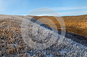 Orange steppe in the snow, hoarfrost.