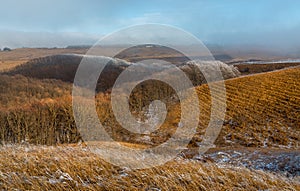 Orange steppe in the snow, hoarfrost.