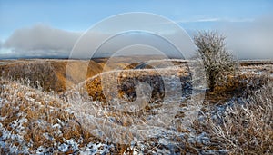 Orange steppe in the snow, hoarfrost.