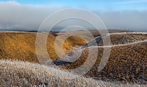 Orange steppe in the snow, hoarfrost.