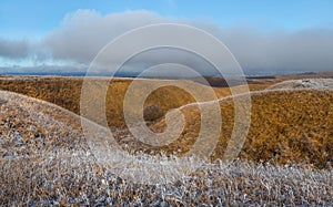 Orange steppe in the snow, hoarfrost.