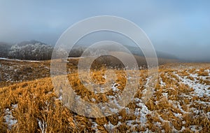 Orange steppe in the snow, hoarfrost.