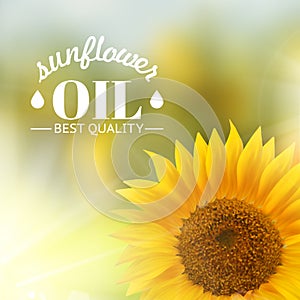 Orange sunflower with text