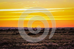 Orange sunrise in the Pilbara