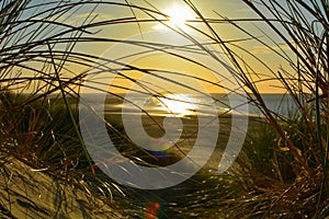 Orange Sunset on the beach with dune grass