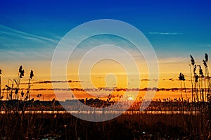 Orange sunset in blue sky over river with canes