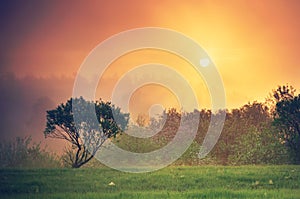 Orange sunset in countryside