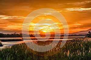 Orange sunset with lens flare, thick tall grass and a flat lazy river
