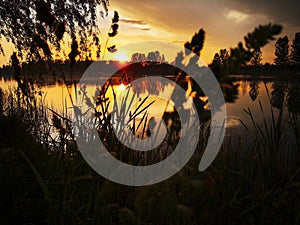 Orange sunset over the lake due to tall grass